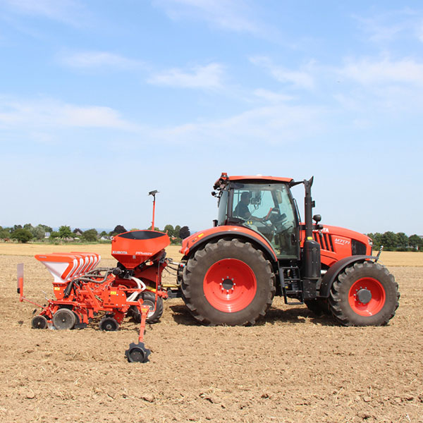 Planting