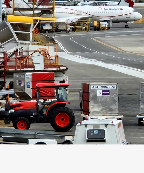 Air Niugini Elevates Airport Operations with Brian Bell Agriculture