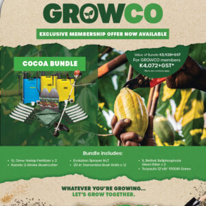 GROWCO Cocoa Bundle